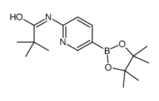 6-新戊酰氨基吡啶-3-硼酸频哪醇酯