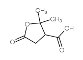 氧化松节油酸