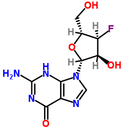 2-氨基-9-((2R,3S,4S,5R)-4-氟-3-羟基-5-(羟甲基)四氢呋喃-2-基)-1,9-二氢-6H-嘌呤-6-酮