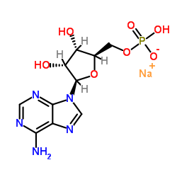 5''-单磷酸腺苷单钠 98.0%