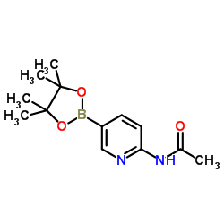 2-乙酰氨基吡啶-5-硼酸频哪醇酯