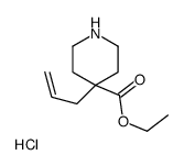 4-烯丙基-4-哌啶羧酸乙酯盐酸盐