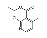 2-氯-4-甲基-烟酸乙酯