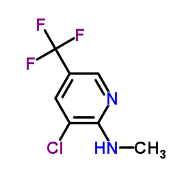 3-氯-N-甲基-5-（三氟甲基）吡啶-2-胺
