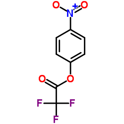 4-硝基苯基三氟醋酸酯