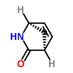 2-氮杂双环[2.2.1]庚-5-烯-3-酮 98.0%