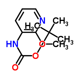 2-甲氧基吡啶-3-氨基甲酸叔丁酯
