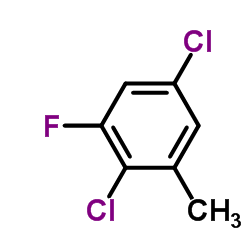 2,5-二氯-3-氟甲苯