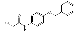 N-(4-(苄氧基)苯基)-2-氯乙酰胺