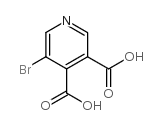 5-溴吡啶-3,4-二羧酸
