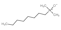 N-氧代-N,N-二甲基-1-辛胺