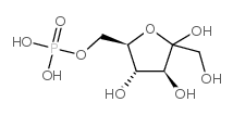 果糖-6-磷酸