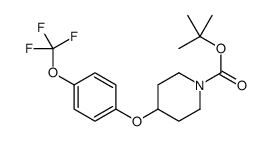 4-(4-(三氟甲氧基)苯氧基)哌啶-1-羧酸叔丁酯