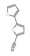 5-(噻吩-2-基)噻吩-2-甲腈