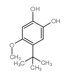 4-叔丁基-5-甲氧基邻苯二酚