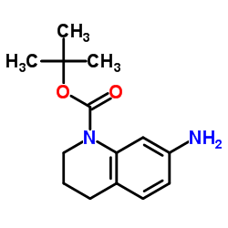 1(2H)-BOC-7-氨基-3,4-二氢喹啉