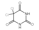 5,5-二氯巴比妥酸