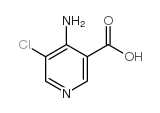 4-氨基-5-氯烟酸