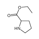 乙基吡咯烷-2-羧酸