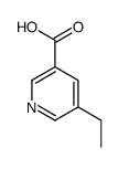 5-乙基-(9ci)-3-吡啶羧酸