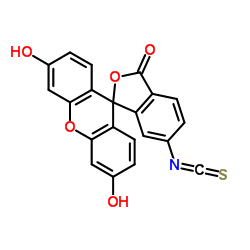 荧光素-6-异硫氰酸酯 (同分异构体II)