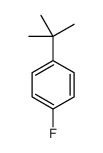 1-叔丁基-4-氟苯