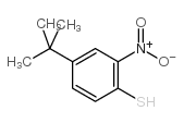 4-叔丁基-2-硝基苯硫酚 (74752-38-8)