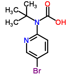 2-(Boc-氨基)-5-溴吡啶 97.0%