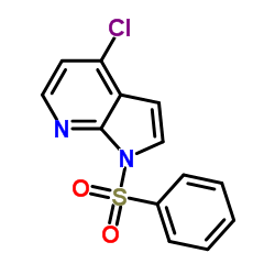 4-氯-1-苯磺酰基-1H-吡咯并[2,3-b]吡啶