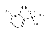 2-叔丁基-6-甲基苯胺 (13117-94-7)