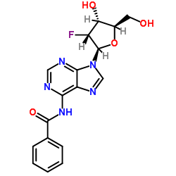 N-(9-((2R,3R,4R,5R)-3-氟-4-羟基-5-(羟甲基)四氢呋喃-2-基)-9H-嘌呤-6-基)苯甲酰胺