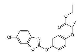 (2S)-(+)-2-[4-(6-氯苯并噁唑-2-氧基)苯氧基]丙酸乙酯