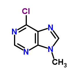 6-氯-9-甲基嘌呤