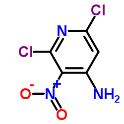 4-氨基-2,6-二氯-3-硝基吡啶