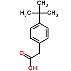 4-叔丁基苯乙酸
