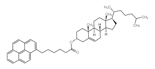 3Beta-羟基-5-胆甾烯-3-[6-(1-芘)己酸盐