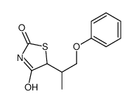 5-(1-甲基-2-苯氧基乙基)-2,4-噻唑烷二酮