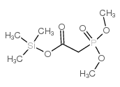 (2-三甲基甲硅烷基氧基羰基乙基)磷酸二甲酯