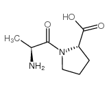 L-丙氨酰-L-脯氨酸