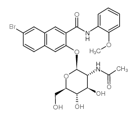 萘酚 AS-BI N-乙酰基-β-D-氨基葡糖苷