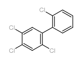 多氯联苯 (70362-47-9)