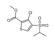 3-氯-4-(异丙基磺酰基)噻吩-2-羧酸甲酯