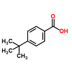 4-叔丁基苯甲酸 98.0%