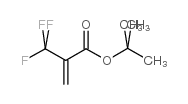 2-三氟甲基丙烯酸叔丁酯