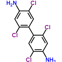 2,2',5,5'-四氯代联苯胺 (15721-02-5)