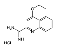 4-乙氧基喹啉-2-羧酰胺盐酸盐