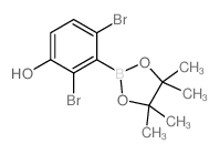 2,4-二溴-3-(4,4,5,5-四甲基-1,3,2-二噁硼烷-2-基)苯酚