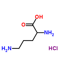 DL-鸟氨酸盐酸盐 (1069-31-4)
