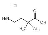 4-氨基-2,2-二甲基丁酸