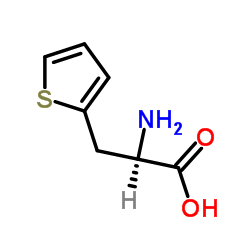 3-(2-噻吩基)-d-丙氨酸